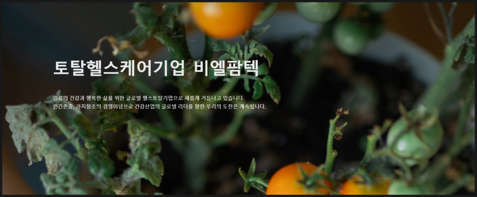 비엘써비스 이미지