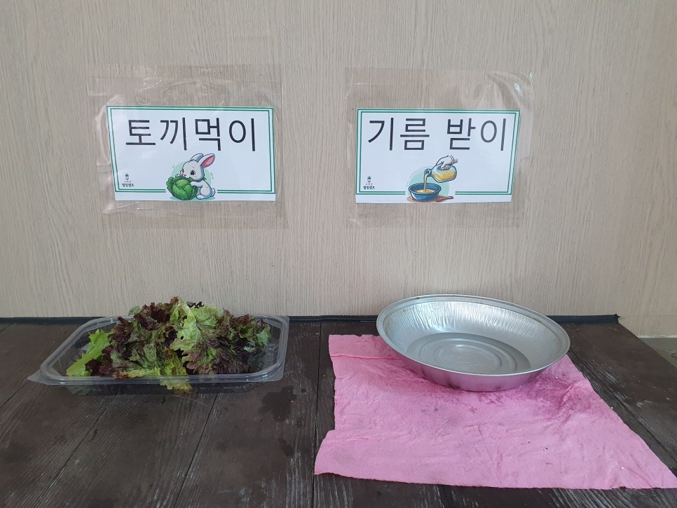 고려산 힐링캠프 이미지