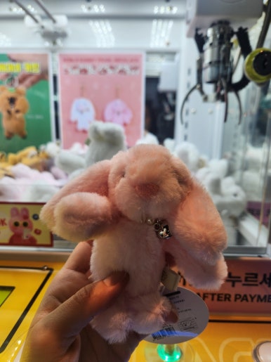 토피아인형뽑기 이미지