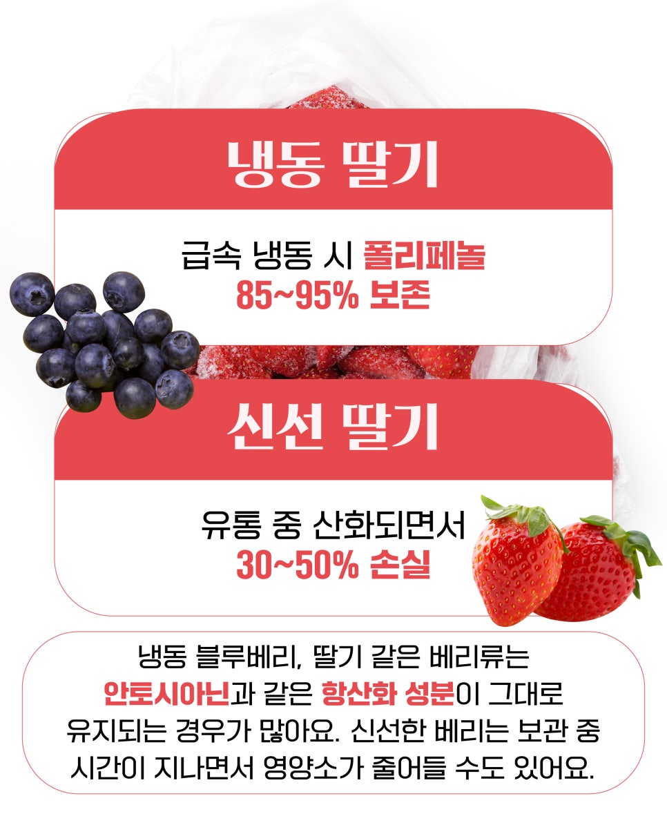 선호냉동 이미지