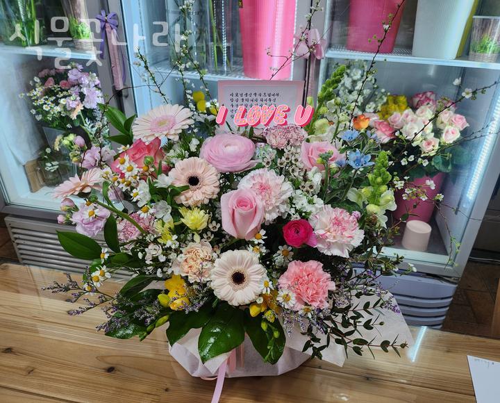 식물꽃나라 이미지