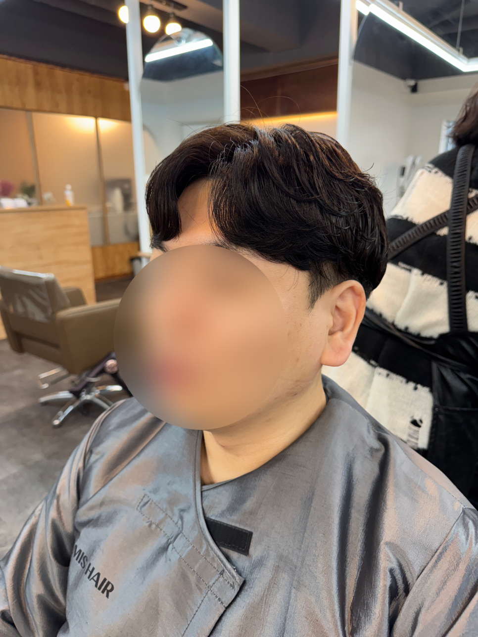 라미스헤어계대 이미지