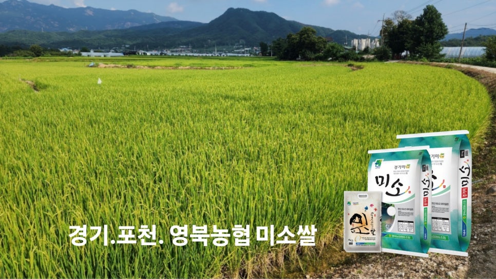 영북농업협동조합 이미지