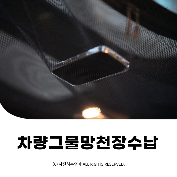 철이상회 이미지