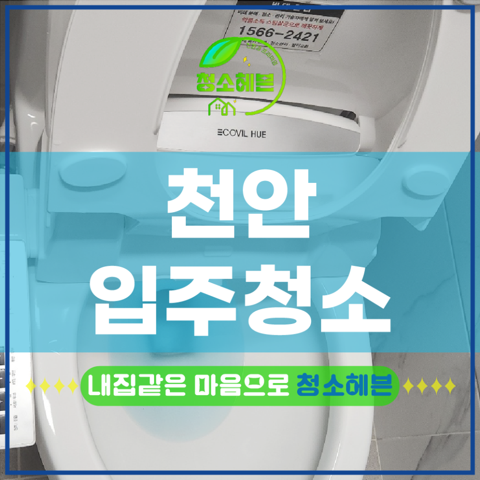 현장 사진
