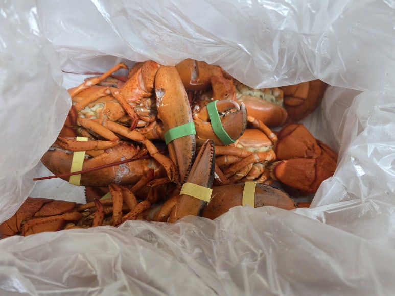 신성수산 이미지