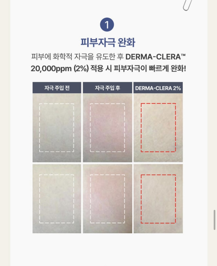 랑느 이미지
