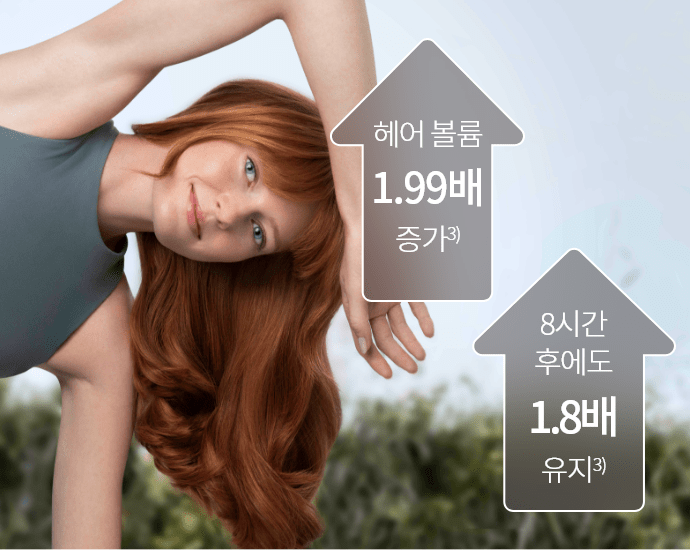 스캘프 이미지