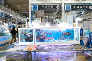 믿음수산 이미지