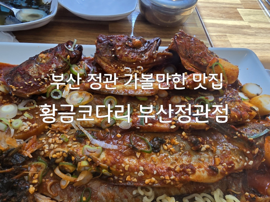 황금코다리부산 이미지