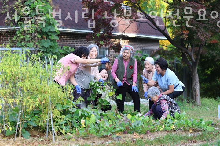 서울특별시립 남부노인전문요양원 이미지