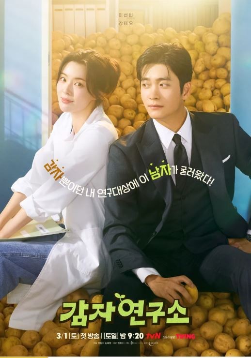즐거운도시연구소 이미지