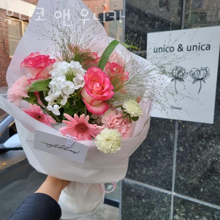 우니코앤우니카 이미지