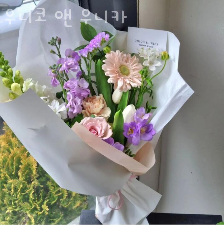 우니코앤우니카 이미지