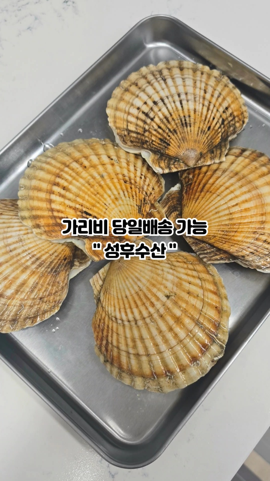 성후수산 이미지