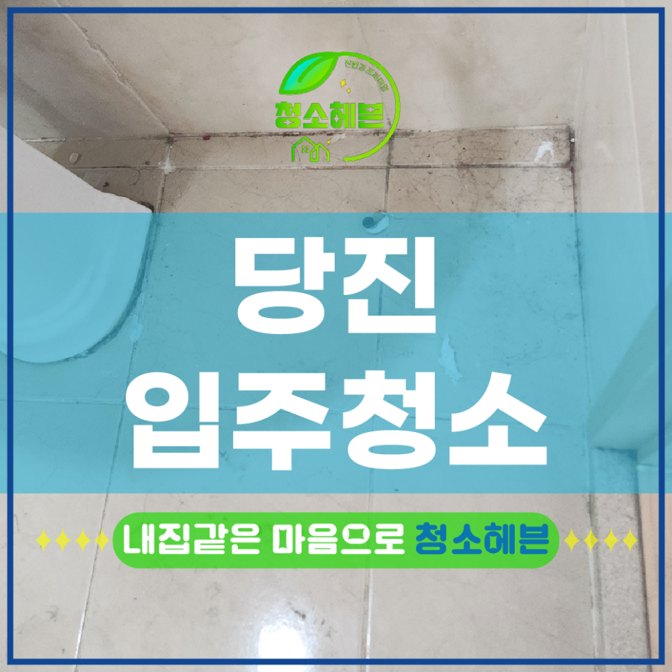 현장 사진
