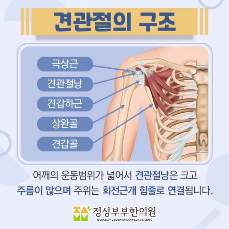 정성부부한의원 이미지