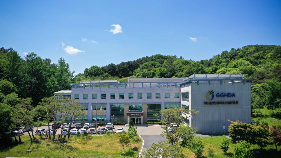 금산인삼사업 이미지
