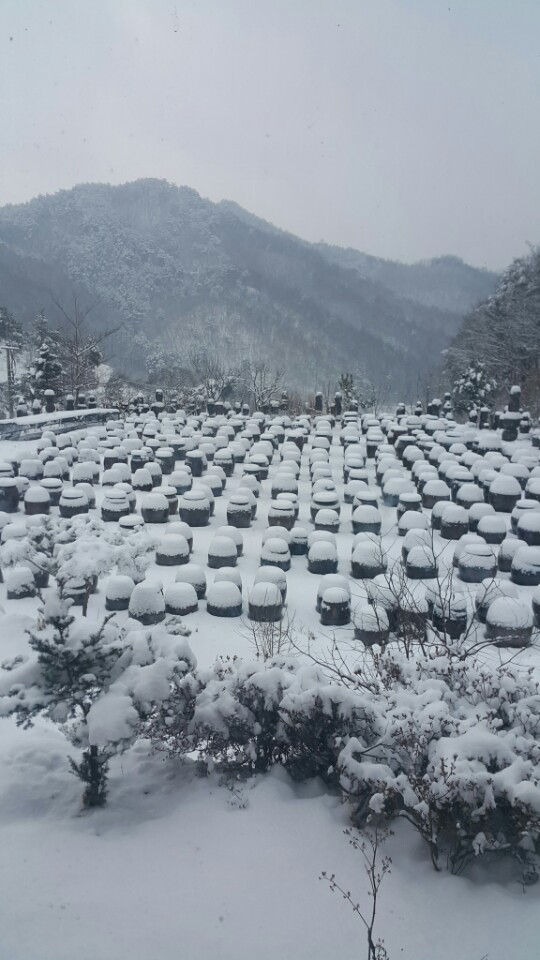 홍천큰집농원 이미지