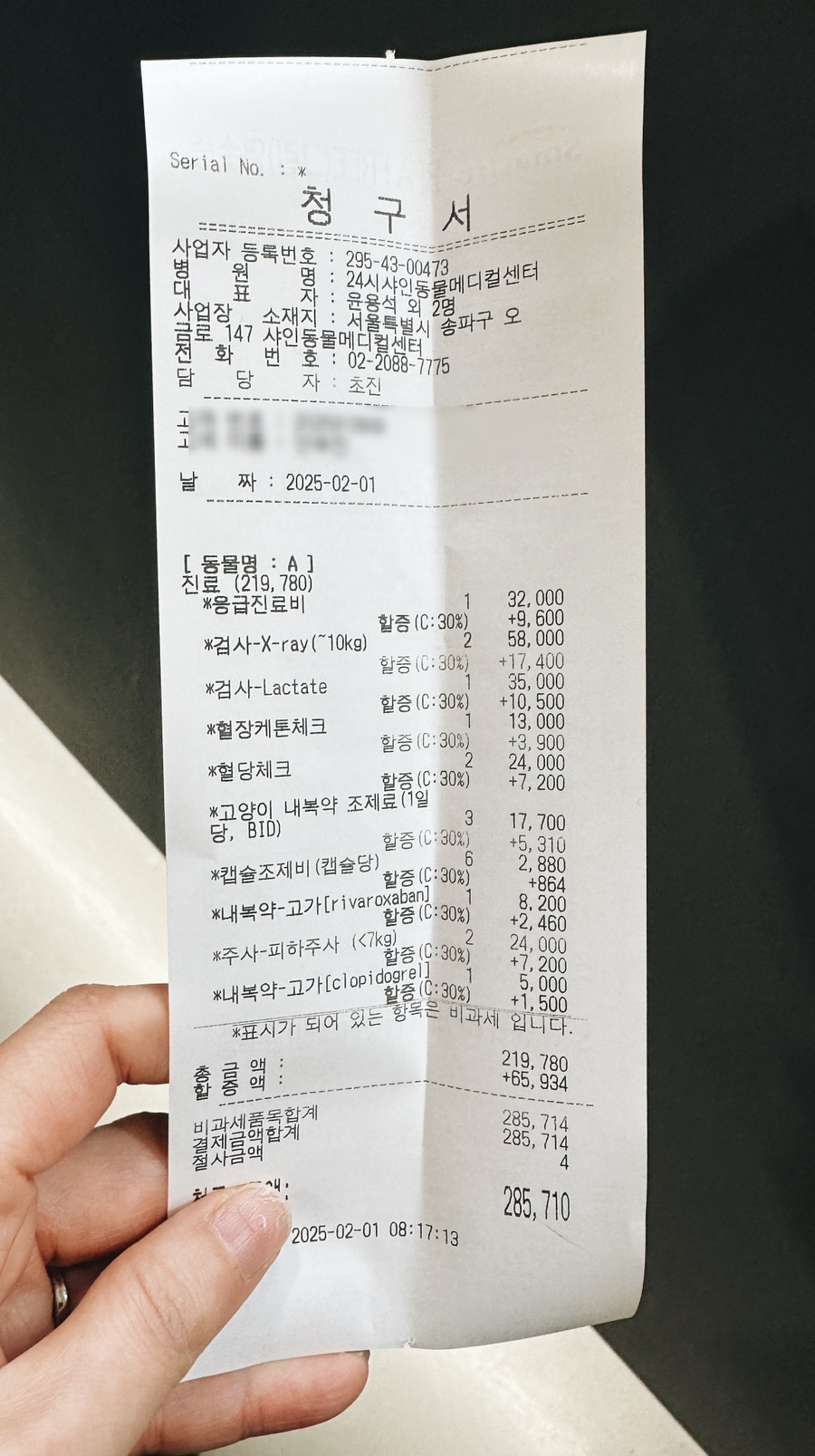 고양이 장례 절차 및 비용 안내 — 사진 2