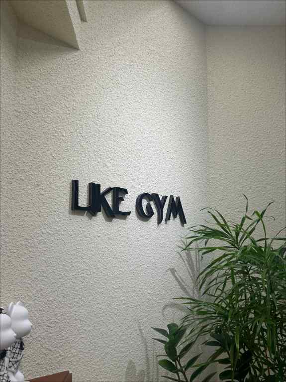 수라이크 이미지