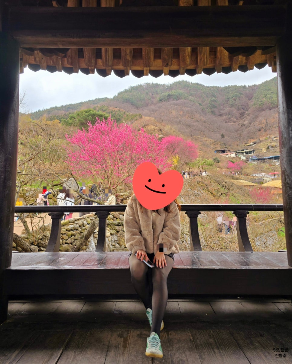 정자 포토존 이미지