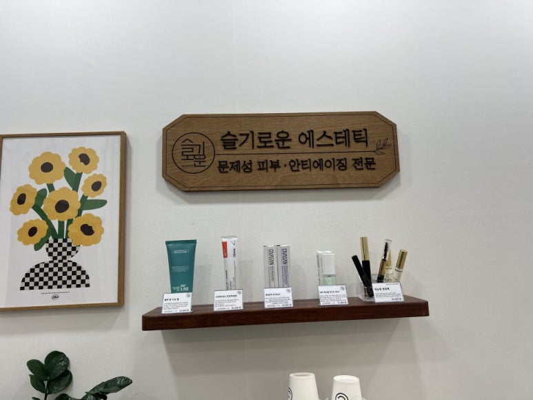 슬기로운에스테틱 이미지