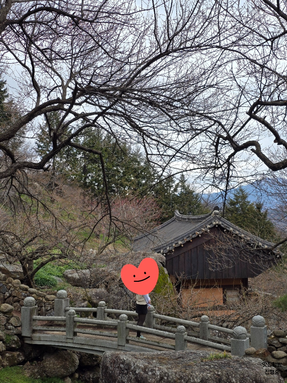정자 포토존 이미지