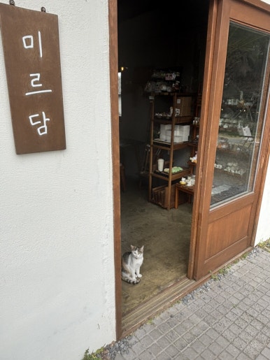 선아전복 이미지