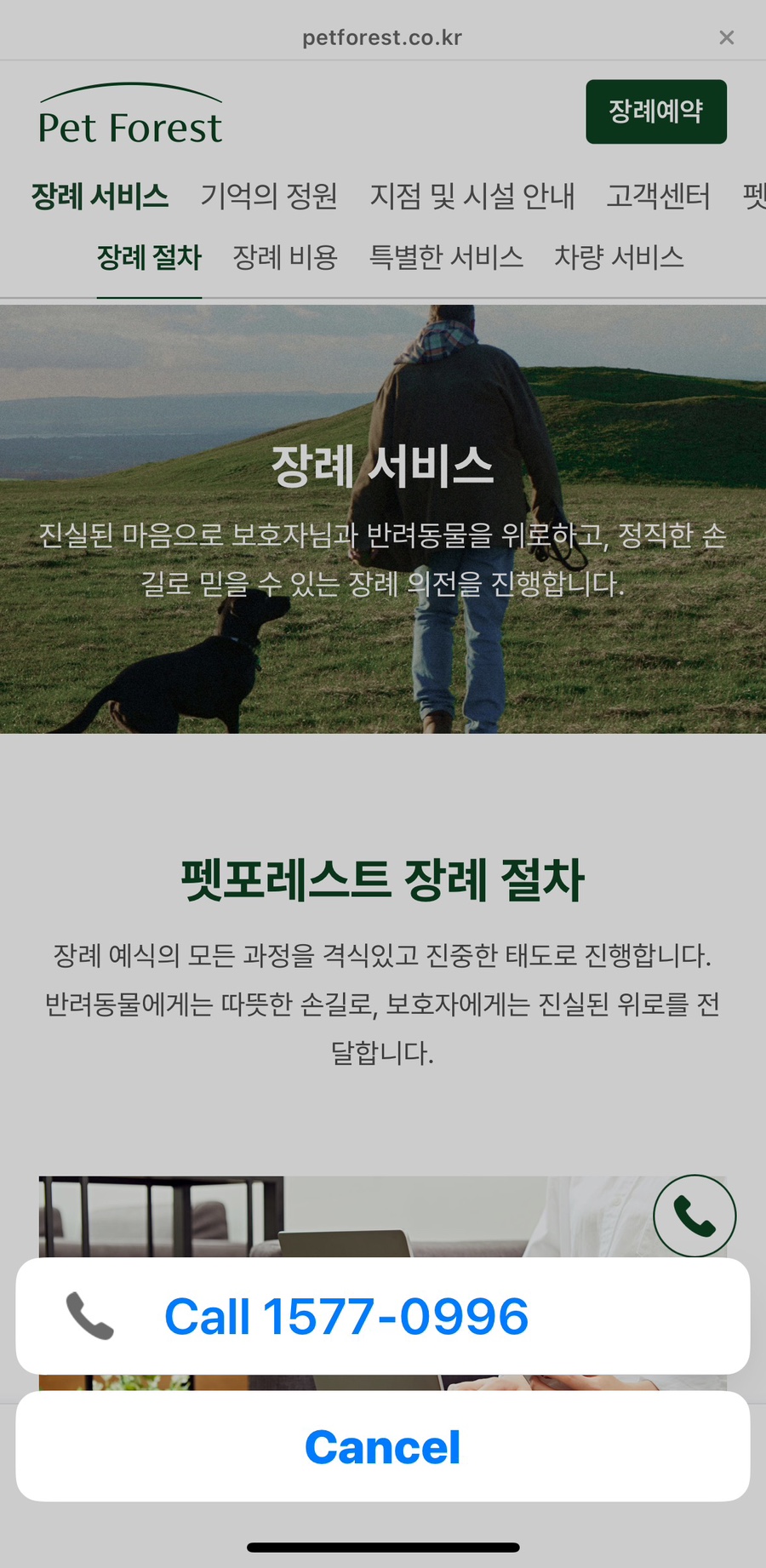 고양이 장례 절차 및 비용 안내 — 사진 3