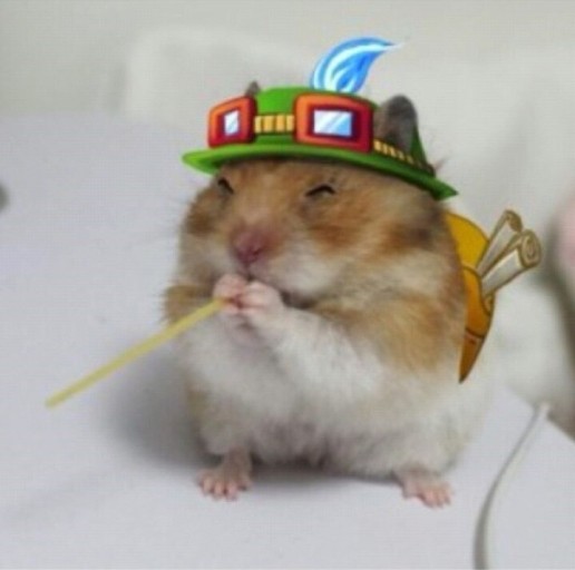 에디컨설팅 이미지