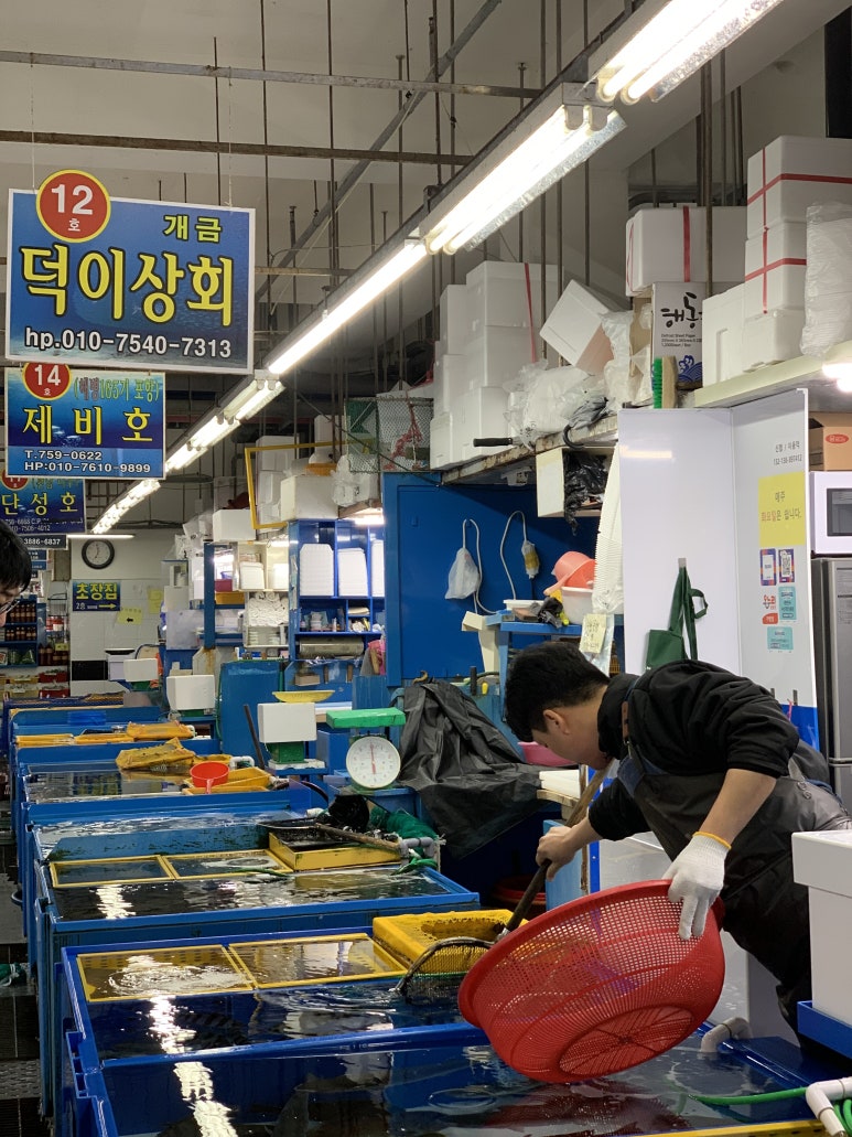덕이상회 이미지