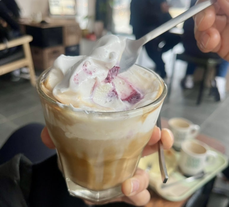 데이오브투컬러스 이미지