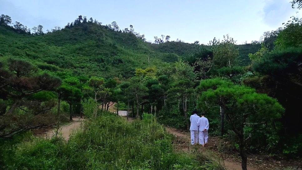 청평사계절 이미지