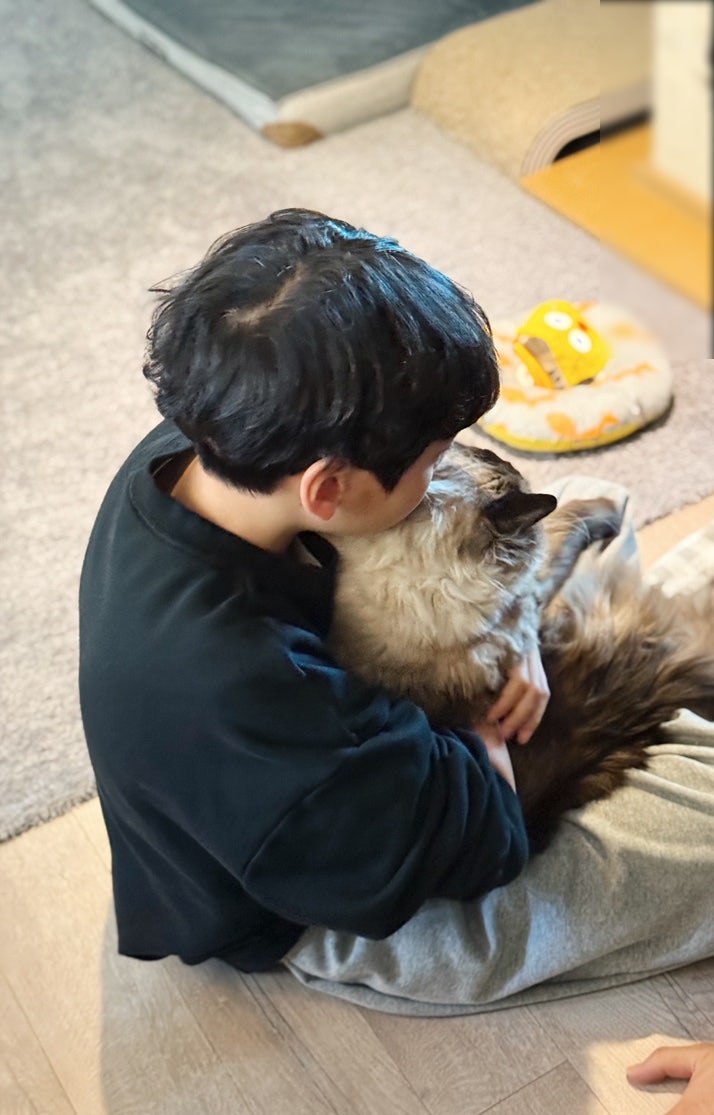 고양이 장례 절차 및 비용 안내 — 사진 8