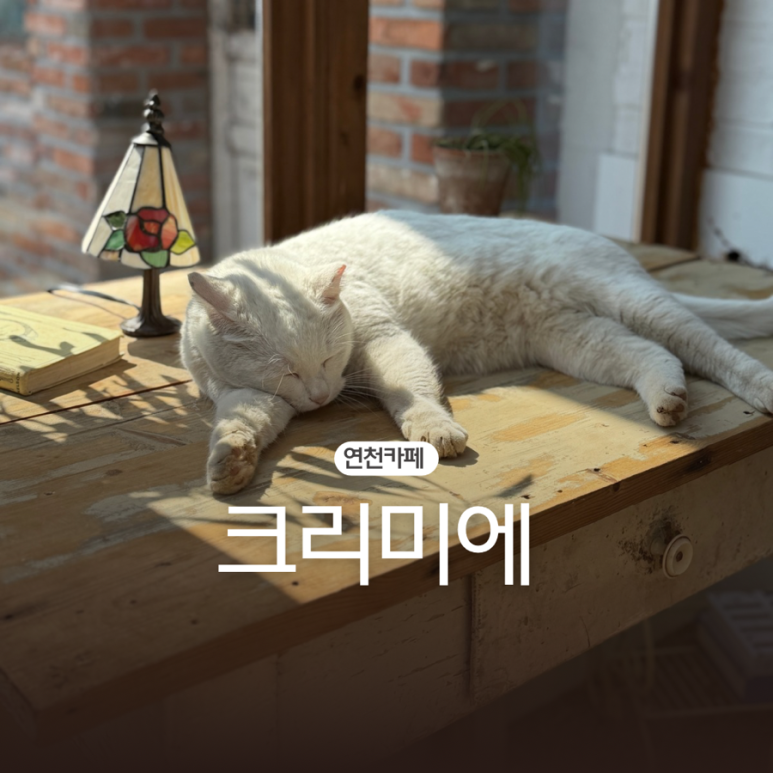 전곡열쇠 이미지