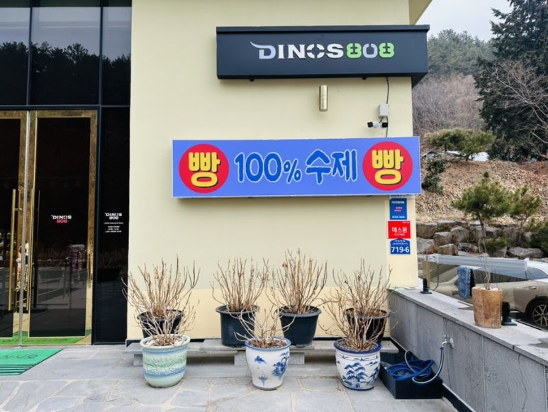 다이노스808 이미지