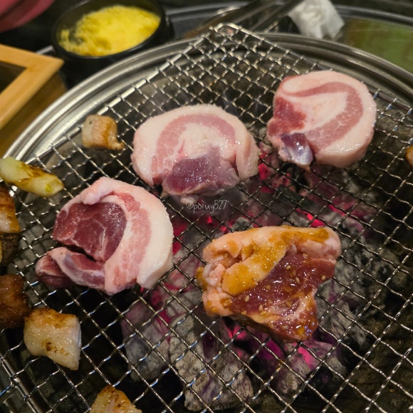 돼지당 이미지