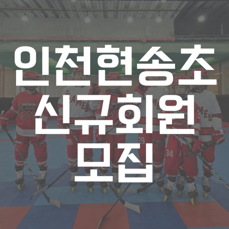 플레임스인라인하키클럽 이미지