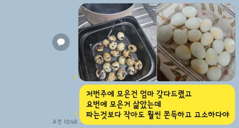 즐거운녀석들 이미지