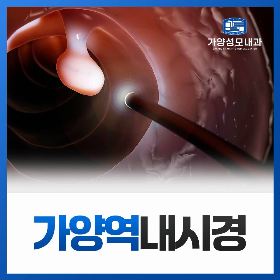 가양성모내과의원 이미지