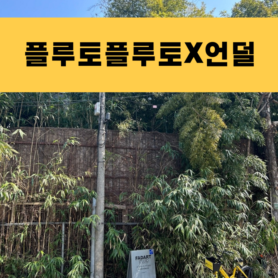 언덜 이미지