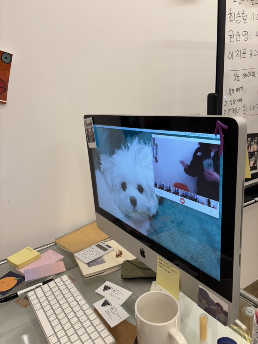 옐로우노래짱 이미지