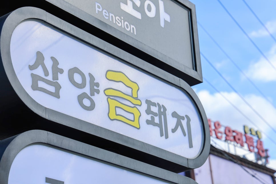 삼양금돼지 이미지