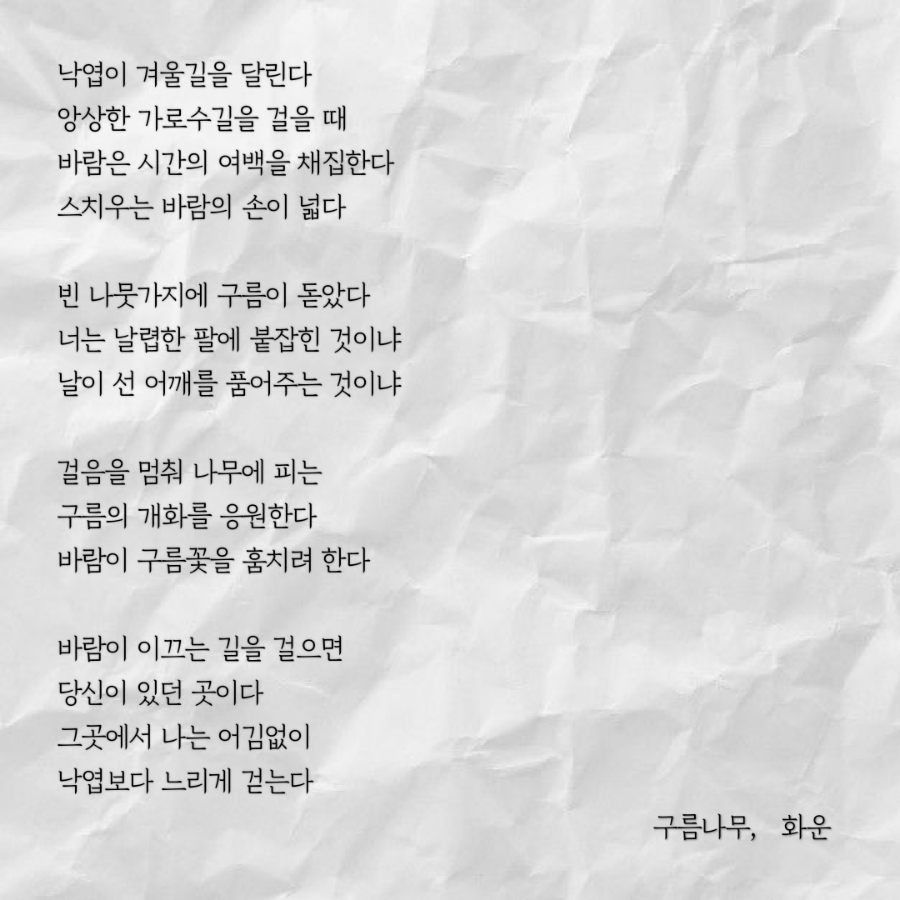 구름나무 이미지