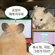 햅삐데이 이미지