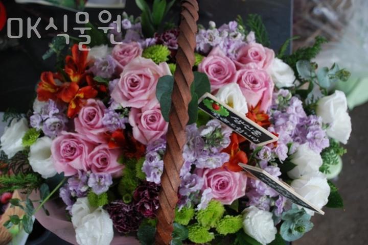 OK식물원 이미지