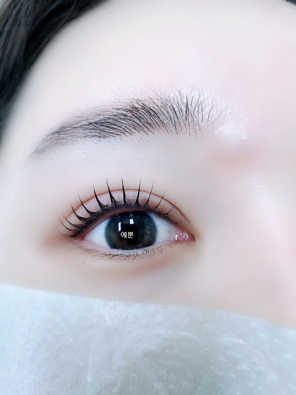 예뿐눈썹 이미지