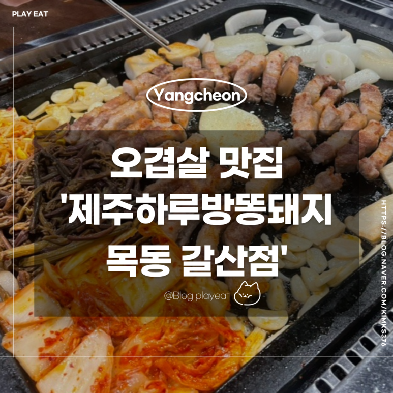 하루방똥돼지 이미지