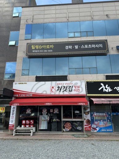 아로와앤아로와나 이미지